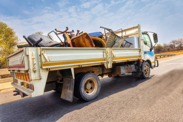 Debris Removal in Shorewood, MN